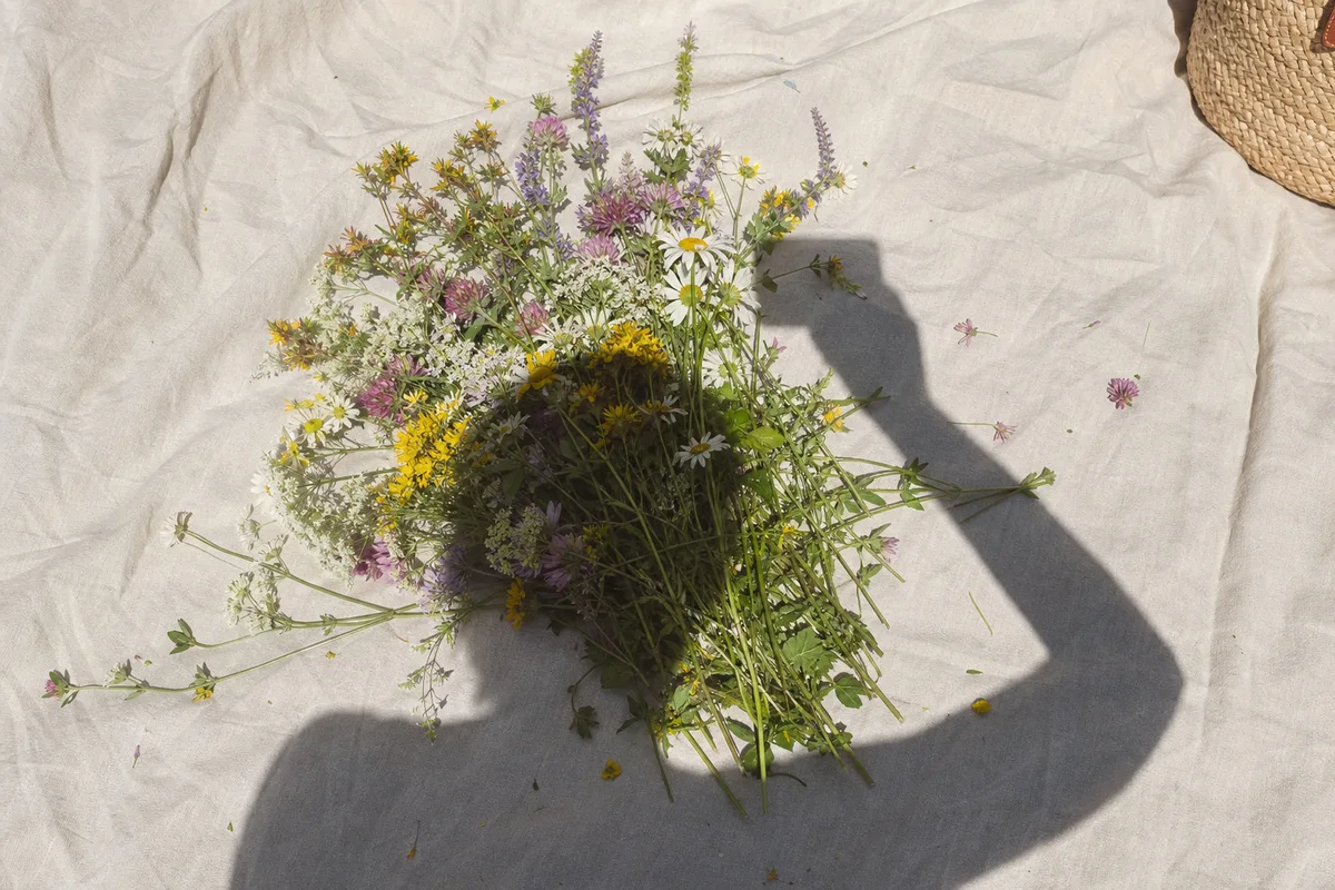 Phone photo with the photographerβs shadow falling over the subject